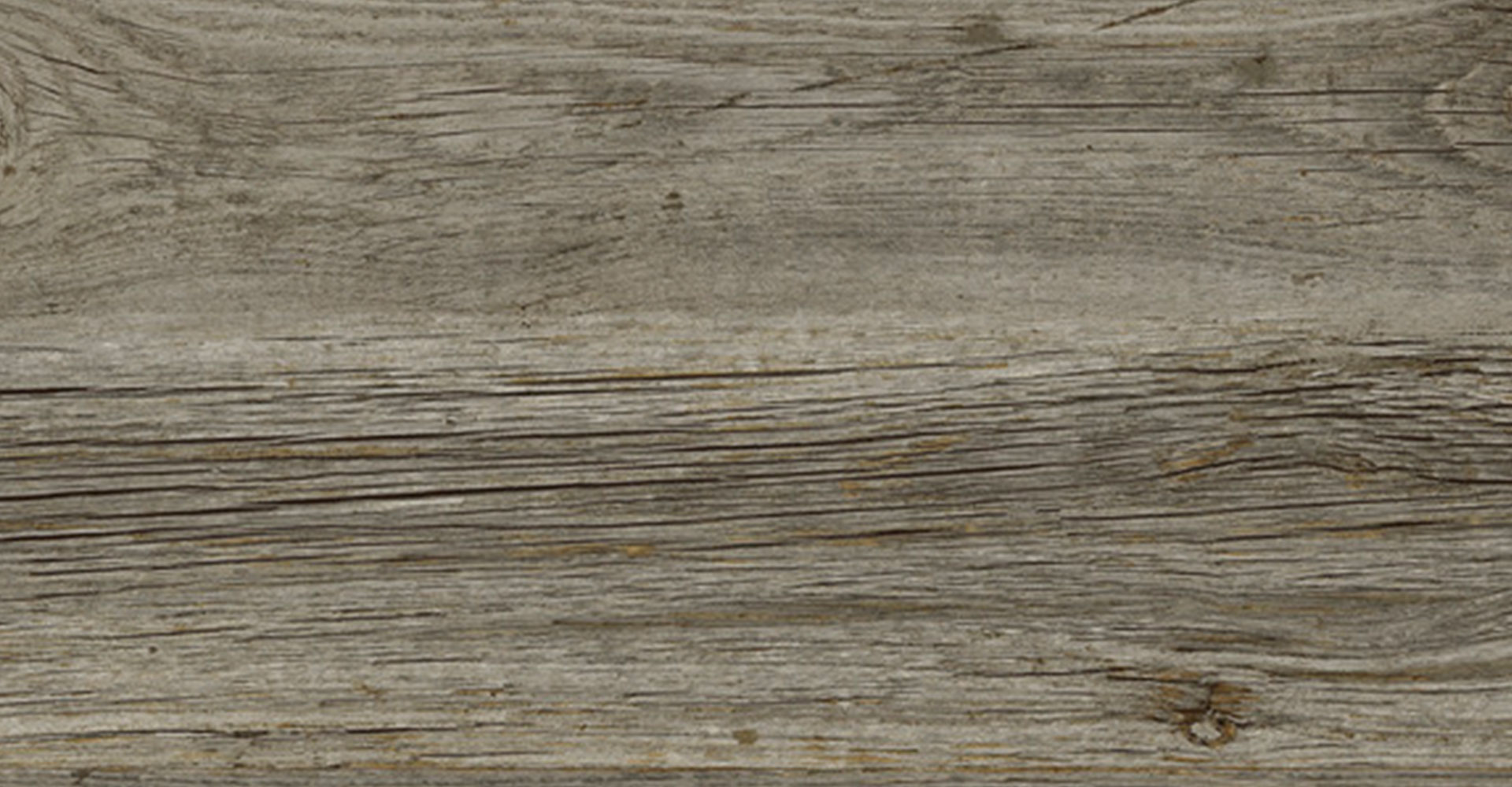 QUERCIA TROPICALE