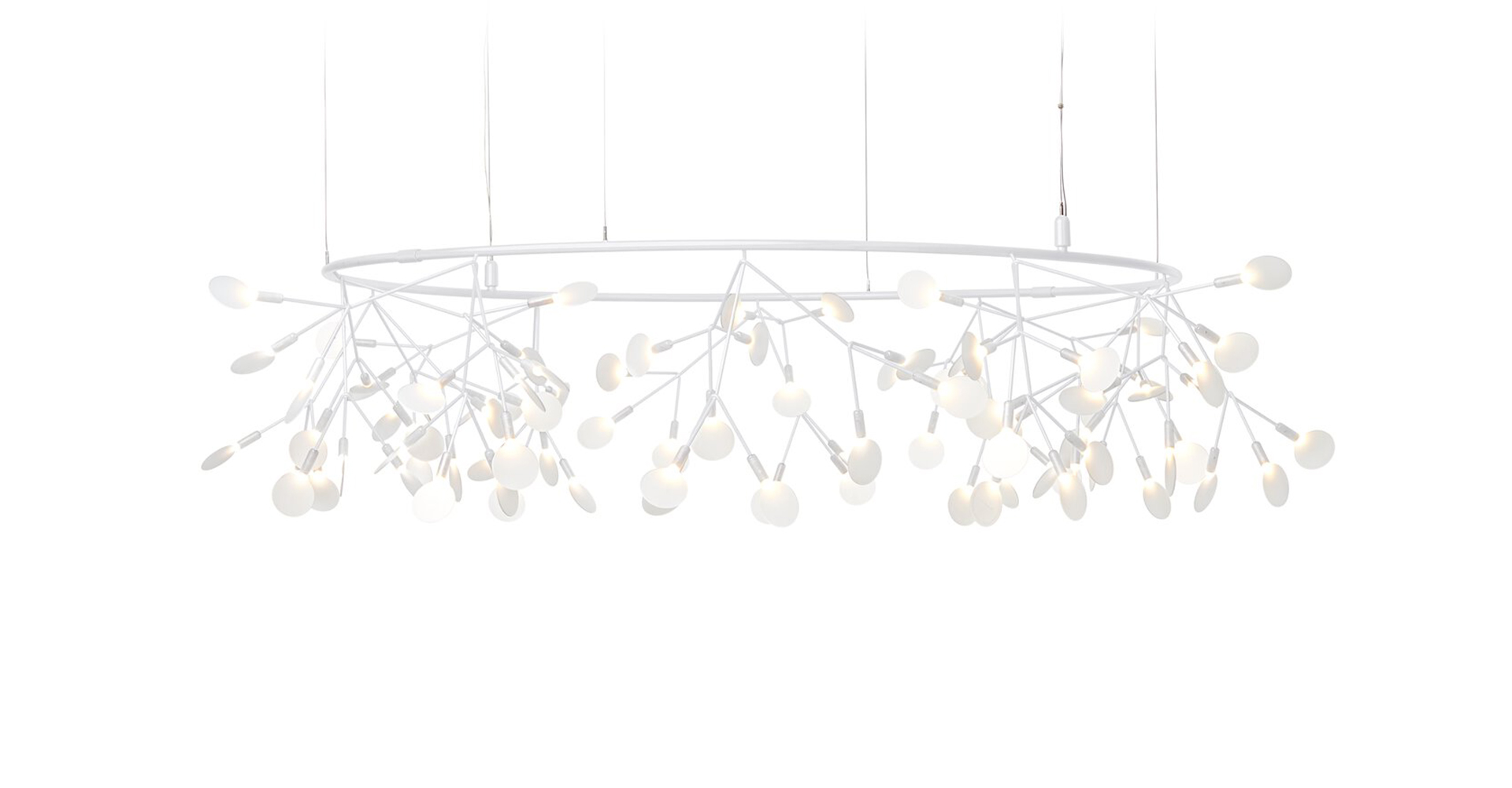 HERACLEUM III THE BIG O